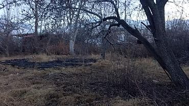кафе ош: 13 соток, Кызыл китеп — 5