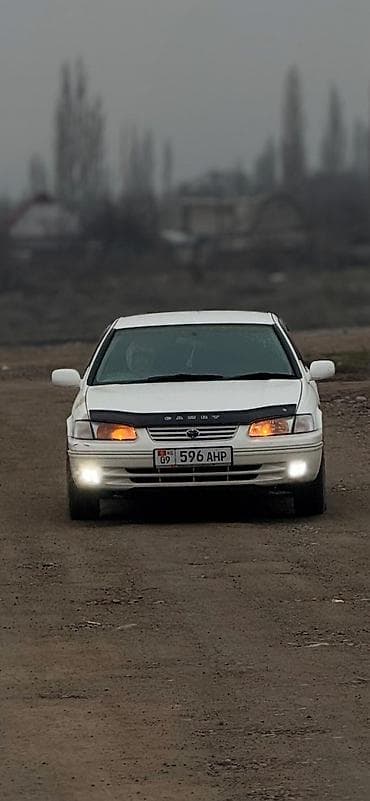 corolla spacio: Toyota Camry: 1999 г., 2.2 л, Автомат, Бензин — 3
