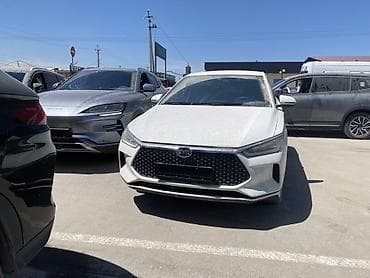 BYD E2: 2019 г.