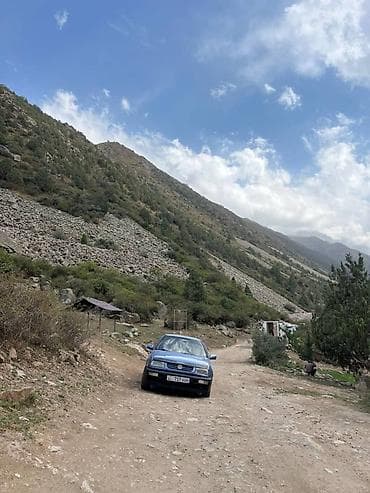 Volkswagen: Volkswagen Vento: 1992 г., 1.8 л, Механика, Седан — 3