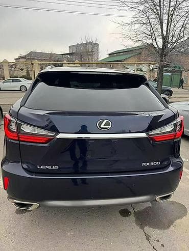 bew e34: Lexus RX: 2019 г., 2 л, Автомат, Бензин, Кроссовер — 4
