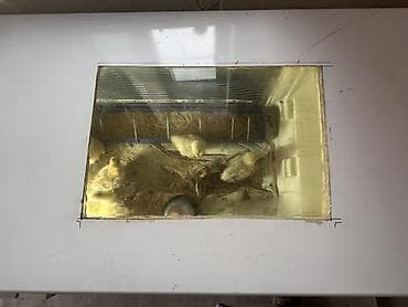 цыплёнок: Брудер/инфракомплекс для выращивания цыплят на базе горизонтального — 3