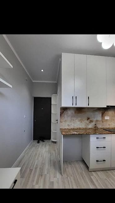 platinum park: 1 комната, 15 м², 106 серия улучшенная, Цокольный этаж этаж, Евроремонт — 4