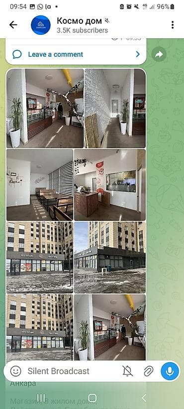 малина бизнес: Кара-Жыгач Анкара Магазин, В жилом доме, Действующий, Без — 1