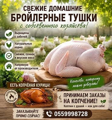 заказ рыбы: Свежие домашние бройлерные тушки из собственного хозяйства. - — 1