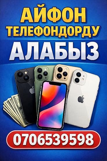 x6 pro: IPhone 13 Pro — 1