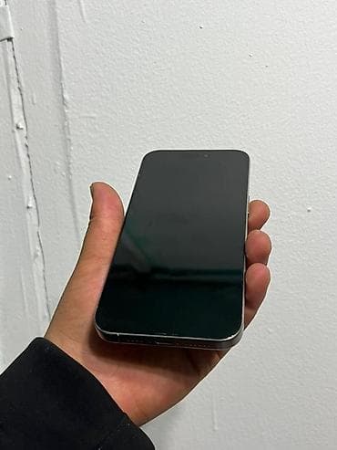 focusrite 5.1: IPhone 15 Pro Max, 256 ГБ — 2