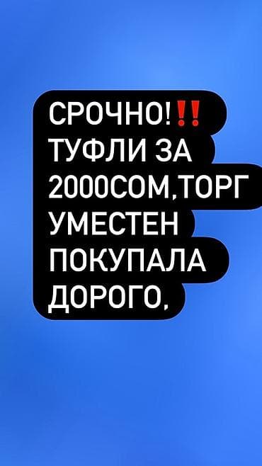 оптом кийим: СРОЧНО ПРОДАЮ ‼️ Туфли/обувь – срочно! Цена: 2000 сом (торг уместен; — 1
