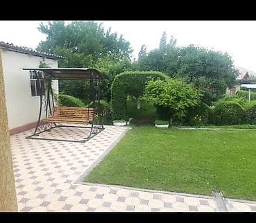 цветы бишкек: Другие удобства для дома и сада — 2