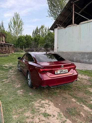 авто сатуу: Toyota Avalon: 2020 г., Автомат, Седан — 2