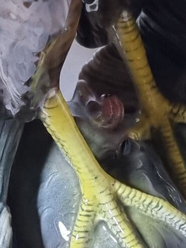 купить модели кораблей: СТАРИННАЯ АНТИКВАРНАЯ Статуэтка. ГЕРМАНИЯ ТРОФЕЙНАЯ. РАРИТЕТ — 7