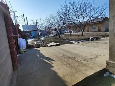 Куплю дом: Продаётся земельный участок с домом и садом — 7