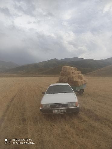 Audi: Audi 100: 1986 г., 2.5 л, Механика, Дизель, Седан — 6