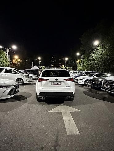 model x: Lexus NX: 2020 г., 2 л, Автомат, Бензин, Кроссовер — 3