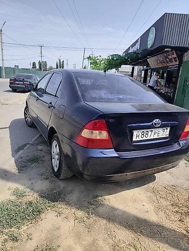 Toyota Corolla: 2004 г., 1.6 л, Механика, Бензин, Седан