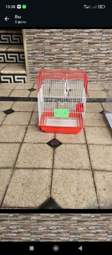 Клетки для птиц (2 модели) 1) Компактная клетка с красным поддоном - at lalafo.kg Клетки для птиц (2 модели) 1) Компактная клетка с красным поддоном -