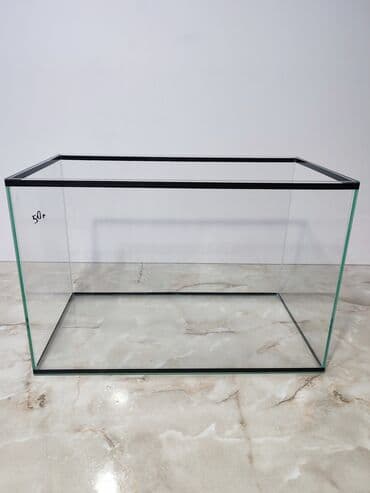 аквариумная рыбка: Прямоугольные — 7