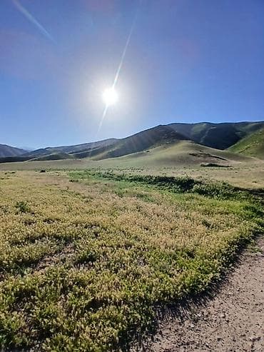 Кыймылсыз мүлк: 20 соток, Курулуш, Кызыл китеп — 2