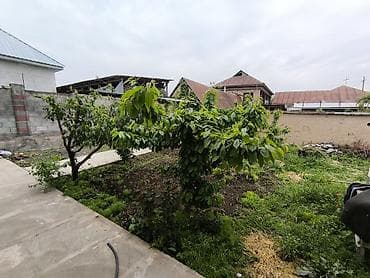 мин булак: Уй сатылат 7 комнат жаны буткон дареги тоголок молдо — 7