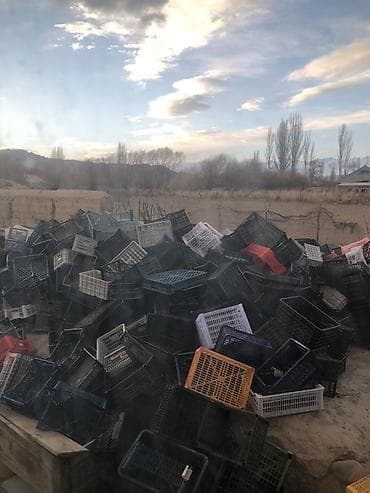 Пластиковый Ящик