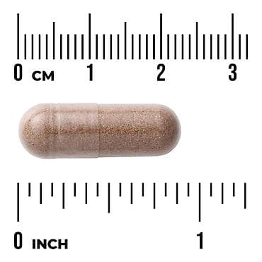 Со Пальметто (Saw Palmetto, сереноа) — это натуральный экстракт плодов — 4
