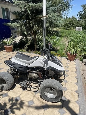 кводроцикл мото: Квадроцикл компактного класса - Тип: бензиновый, одноцилиндровый — 3