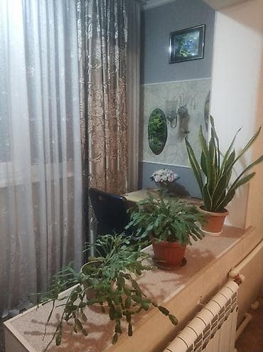 Батирлер: 1 бөлмө, 46 м², 1 кабат, Косметикалык ремонт — 3