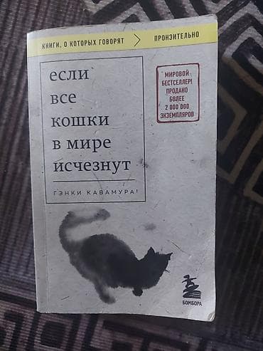 local guide program: На русском языке, Б/у — 1