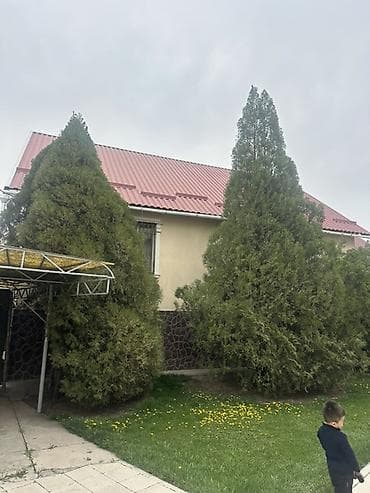 птицы бишкек: Елка, самовывоз… — 1