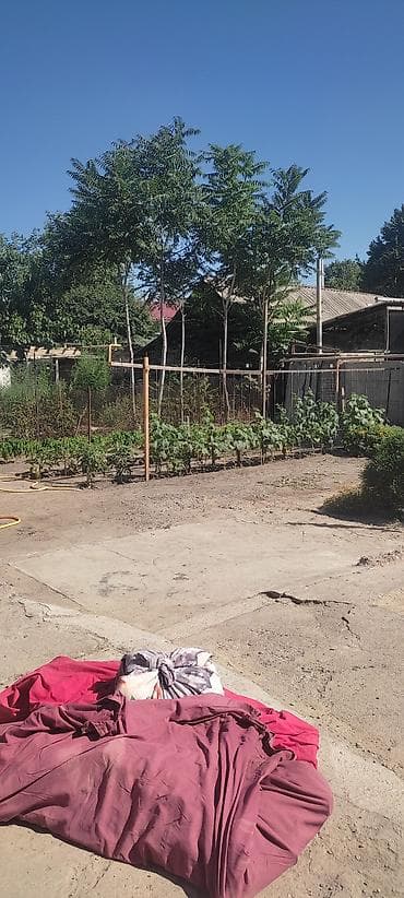 Продаётся дом с приусадебным участком. - Одноэтажный жилой дом из — 4