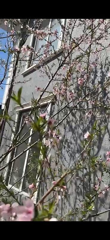трёхэтажный дом: Сдается под садик Двухэтажный дом с серым фасадом и светлыми оконными — 6