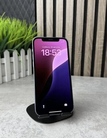 самсунг z flip 6 цена в бишкеке: IPhone 12, Б/у, 64 ГБ, Deep Purple, 80 % — 2
