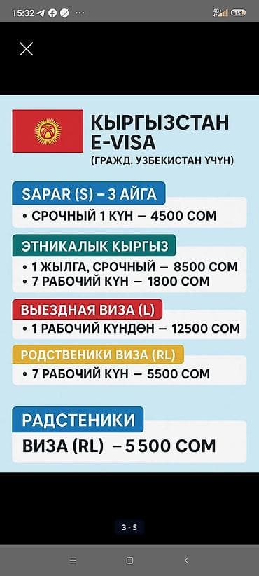 сырга: Электронная виза (E-visa) Кыргызской Республики+Регистрация Е-виза — 4