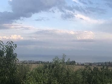 дача участок купить: Продаю дачу в Чолтон-Ате 6 соток.красная книга.Летний домик сад — 1