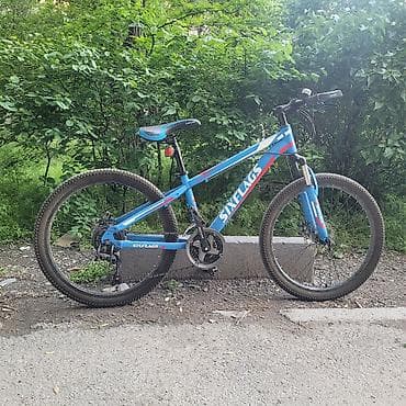 sea doo: Горный велосипед, Алюминий — 2