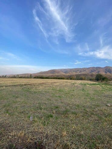 300 соток, Для сельского хозяйства, Договор купли-продажи