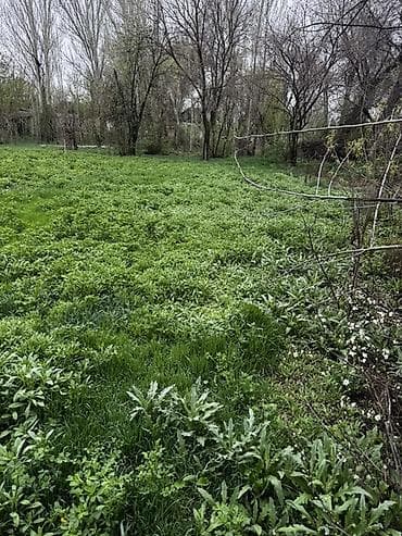 гавриловка участок: 20 соток, Для сельского хозяйства, Красная книга — 2