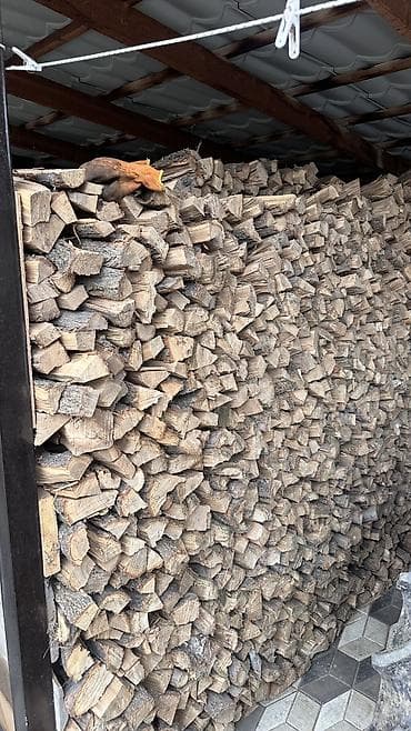 железо бу: Дрова Карагач — 7