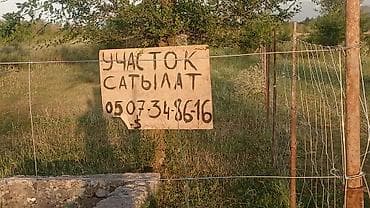 Земельные участки: 5 соток, Красная книга — 1
