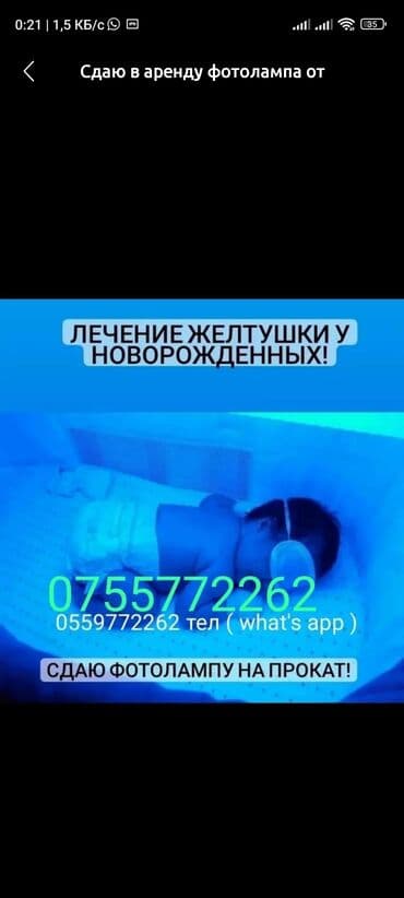 Кычкылтек концентратору: Фотолампа лечение от Жолтухи сдается в прокат (Сокулук — 1