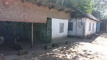 продам дом кызыл аскер бишкек: Продаю дом 16 соток дом 5 комната хоз постройки баня навес по — 5