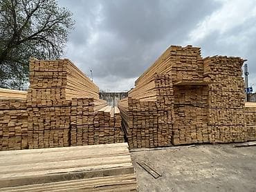 Балки: Хвоя — 4