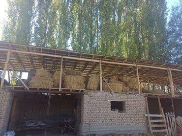 продажа леса строительные: Сено в тюках - Прессованные тюки соломы/сена, удобно для хранения и — 1