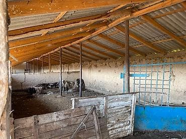 кок эар: 4012 соток, Для сельского хозяйства — 6