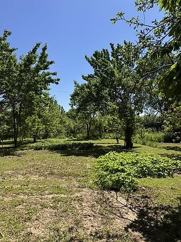 большой сад: 8 соток, Красная книга — 1