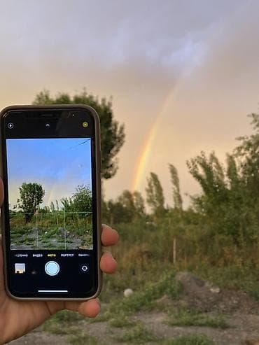 жаныбарлар: Аймактарды жыйнап тазалоо, Уборка двора и сада — 1