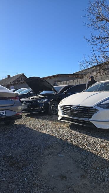 ауди rs7 цена в бишкеке: Kia K5: 2020 г., 2 л, Автомат, Газ, Седан — 12