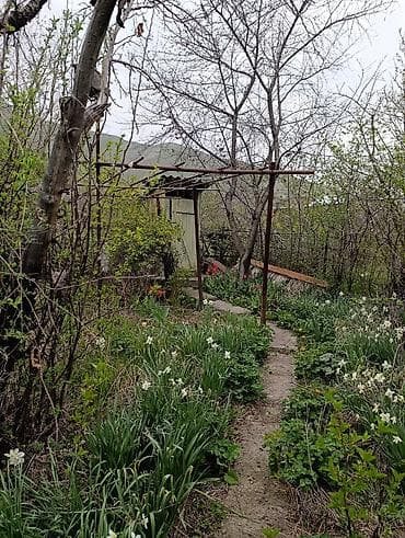 купит частный дом: Дача/садовый участок с домом - Дом из кирпича с мансардным этажом. На — 3