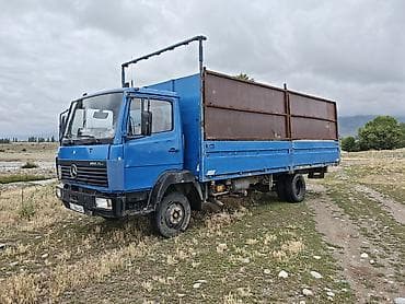 авто краска: Грузовик, Mercedes-Benz, Стандарт, 7 т, Б/у — 3