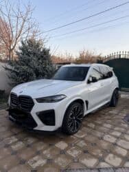 диск на х5: BMW X5: 2019 г., 3 л, Автомат, Бензиновая — 2